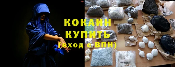 шишки Киренск