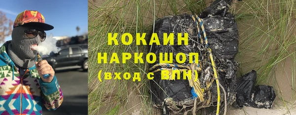 шишки Киренск