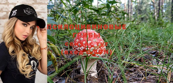 спайс Кинешма