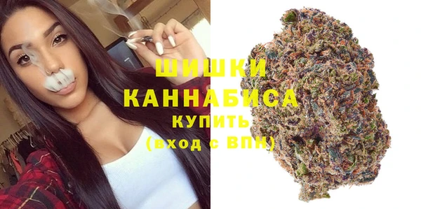 шишки Киренск