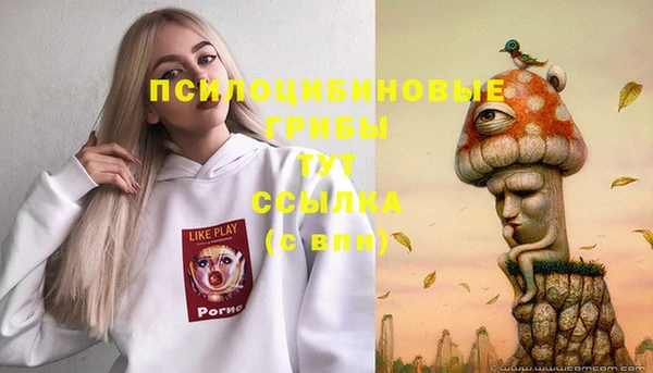 тгк Карпинск