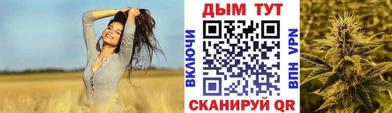 Купить закладки  Грайворон  Бошки марихуана OG Kush 